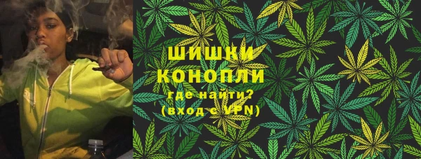 шишки Балахна