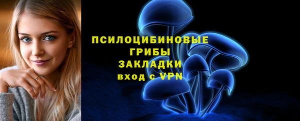 шишки Балахна